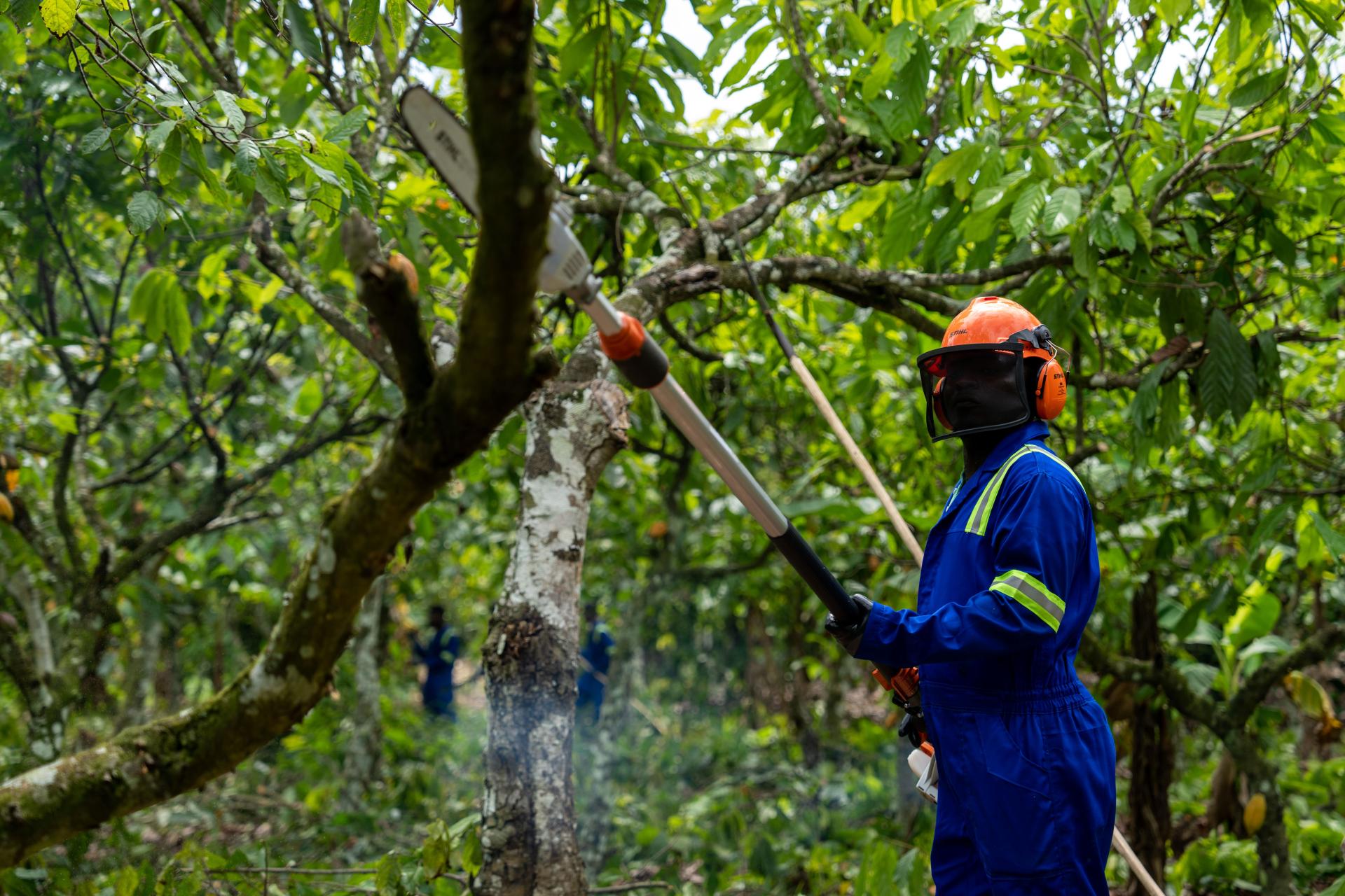 Prosepering Farmers