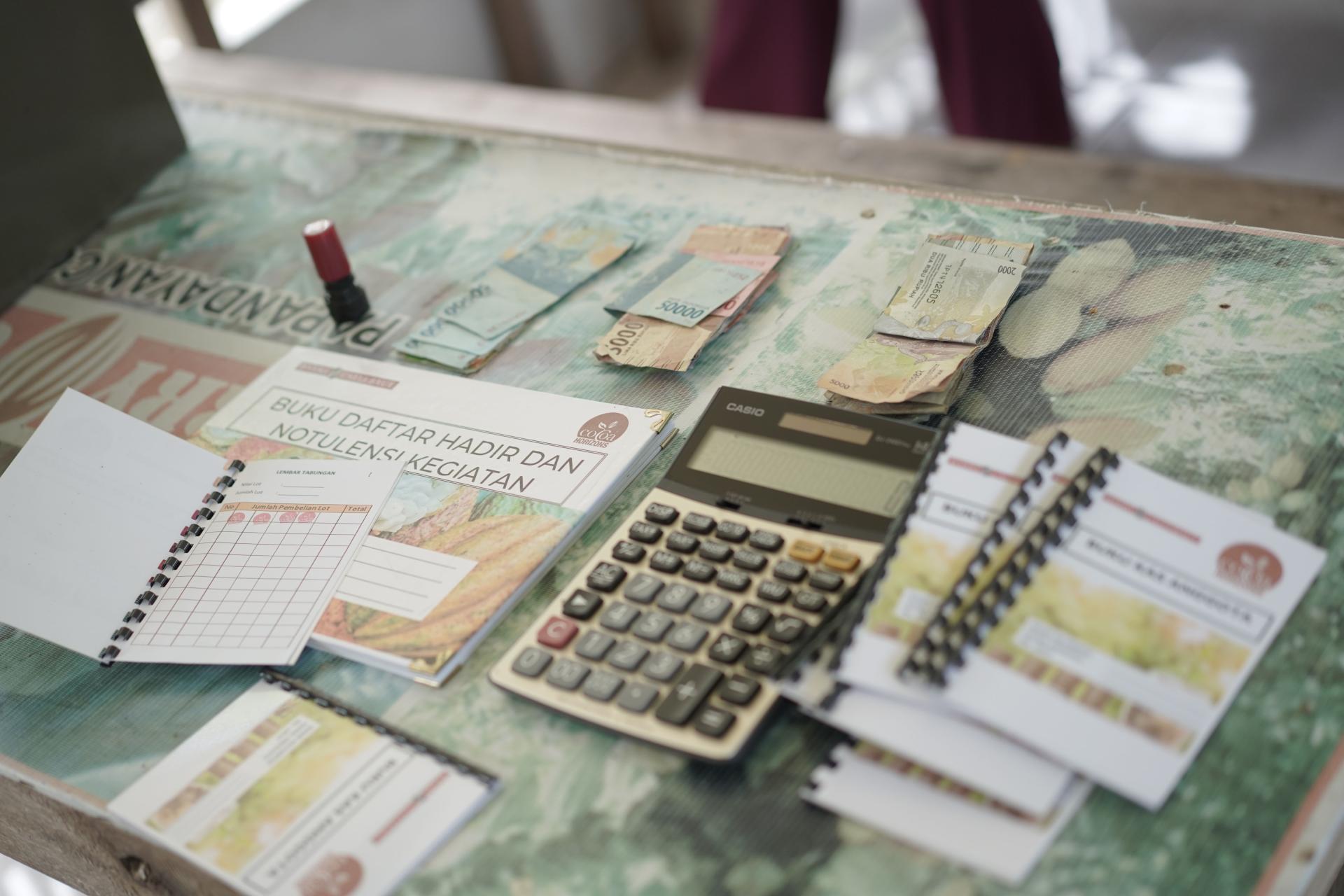 GOVERNANCE BOARDS & FUNDING