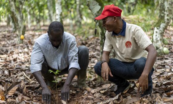 WHAT’S COCOA HORIZONS