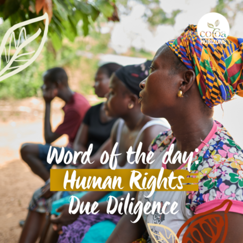 HUMAN RIGHTS DUE DILIGENCE